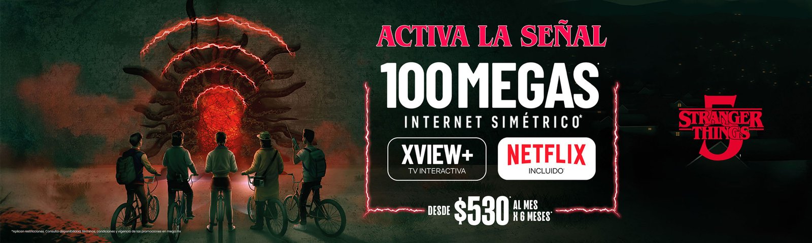 EXP_FIBRA_SIMETRIA_XVIEW+_NETLIX -530